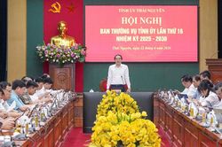 Ban Thường vụ Tỉnh ủy Th&aacute;i Nguy&ecirc;n: Xem x&eacute;t, cho &yacute; kiến v&agrave;o nhiều nội dung quan trọng ở c&aacute;c lĩnh vực