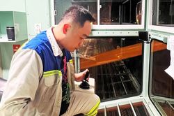 Giữ nhịp cảng biển từ cabin giữa trời