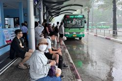 TP.HCM sắp triển khai chương trình xe buýt miễn phí lớn nhất từ trước đến nay