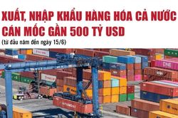 Infographics: Tổng kim ngạch xuất, nhập khẩu hàng hóa cả nước đạt 496,6 tỷ USD