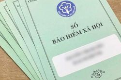 Sonadezi chậm đóng BHXH hơn 875 triệu đồng