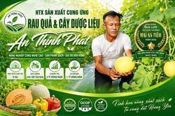 HTX thu 'trái ngọt' từ nông nghiệp công nghệ cao