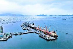 Chiến lược logistics Khánh Hòa đến 2050: Gỡ điểm nghẽn nguồn hàng, hướng tới 'chuẩn xanh'
