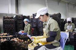 UOB: Doanh nghiệp Việt bước vào chu kỳ tăng trưởng mới