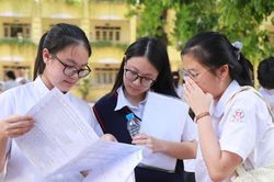 Xây dựng tổ hợp lớp 10 đều phải đặt quyền lợi học sinh lên hàng đầu