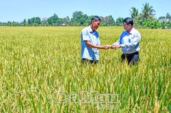 Sức mạnh lòng dân