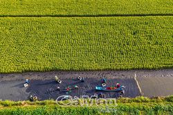 Thới Bình - Hành trình phát triển