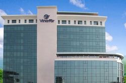 Vinafor đặt mục tiêu sản xuất 315 triệu cây giống chất lượng cao giai đoạn 2026 - 2030