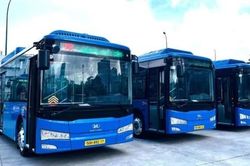 TPHCM: Chi tiết 134 tuyến xe bu&yacute;t miễn ph&iacute; 100% gi&aacute; v&eacute; cho người sử dụng