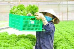 Truyền thông và sứ mệnh lan tỏa nhận thức đúng về nông nghiệp hữu cơ