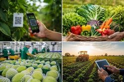 Gần 20.000 sản phẩm tham gia hệ thống truy xuất nguồn gốc nông sản