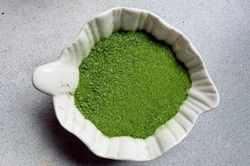 Chiết xuất protein từ lá súp lơ: Hướng đi mới tận dụng phụ phẩm nông nghiệp