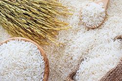 Giá lúa gạo hôm nay 22/6: Không biến động