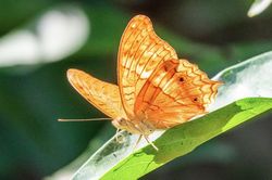 Ngày sinh Âm lịch của người đổi đời nhờ quý nhân đưa đường chỉ lối