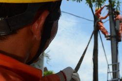 Lịch cúp điện TP. Cần Thơ từ ngày 22 - 28/6/2026: Sẽ cắt điện cả ngày nhiều khu vực để bảo trì đường dây