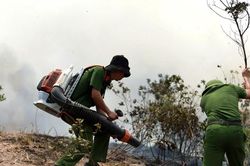 Hàng trăm người bám núi khống chế cháy rừng ở Nghệ An