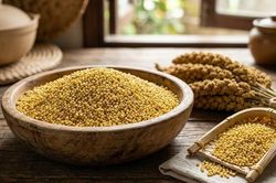 Hạt kê – thực phẩm tốt cho người tỳ vị hư yếu