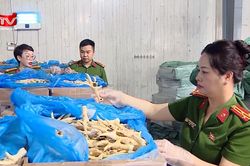 Cận cảnh 260 tấn chân gà hết hạn, bốc mùi trong kho hàng của đường dây buôn lậu