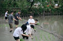 Hoạt động lạ của Jack Ma