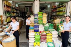 Giá lúa gạo hôm nay 23.6.2026: Lúa Nhật cao nhất 7.500 đồng/kg