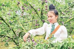 Chuyển đổi số trong sản xuất nông nghiệp xanh