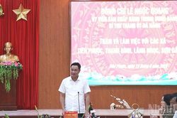 Bí thư Thành ủy Đà Nẵng làm việc với các xã Tiên Phước, Thạnh Bình, Lãnh Ngọc và Sơn Cẩm Hà
