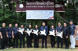 Sếu đầu đỏ Thái Lan về Việt Nam cùng thông điệp của tình hữu nghị
