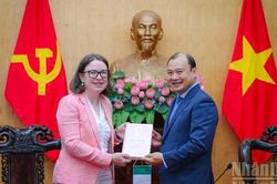 Thúc đẩy hợp tác nghiên cứu, đào tạo, bồi dưỡng nguồn nhân lực giữa Việt Nam-Ireland
