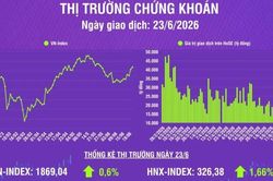 [Infographic] Chứng khoán ngày 23/6: VN-Index tăng 11,13 điểm, thanh khoản thị trường tăng mạnh