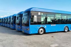 TPHCM thay mới xe buýt trên 3 tuyến từ cuối tháng 6