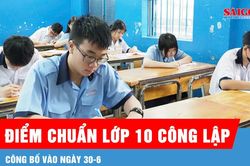 TPHCM: Công bố điểm chuẩn lớp 10 công lập vào ngày 30-6