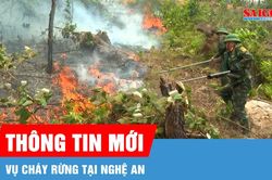 Khống chế vụ cháy rừng tại Nghệ An