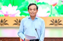 X&acirc;y dựng lực lượng vũ trang TPHCM vững mạnh từ cơ sở