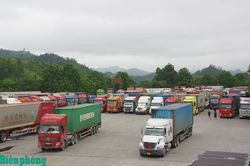 Nông sản Việt Nam trước yêu cầu thích ứng với thị trường Trung Quốc