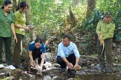 Kỳ đà, tê tê cùng 2 cá thể rùa quý hiếm được thả về tự nhiên
