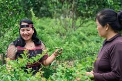 Phụ nữ và những bước chuyển xanh từ cộng đồng