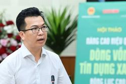 Vì sao nhiều doanh nghiệp tiếp cận vốn xanh bất thành?