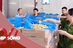 NHỊP SỐNG 24: Cận cảnh 260 tấn chân gà hết hạn, bốc mùi trong kho hàng của đường dây buôn lậu