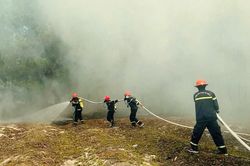 Quảng Trị dồn toàn lực đối phó với nhiều đám cháy rừng trên địa bàn