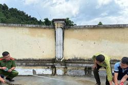 Phát hiện trăn rừng dài 3 mét bò vào khu vườn