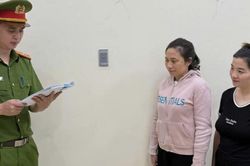 Khởi tố nữ giám đốc trốn thuế tại Ninh Bình