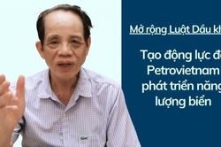 TS. Ngô Đức Lâm: Mở rộng Luật Dầu khí tạo động lực để Petrovietnam phát triển năng lượng biển