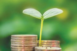 Tin tức kinh tế ngày 23/6: Tín dụng xanh tăng trưởng bình quân trên 20% mỗi năm