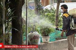 Ca mắc sốt xuất huyết có xu hướng tăng, Hà Nội siết chặt phòng, chống dịch