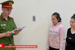 Khởi tố giám đốc và kế toán công ty về hành vi trốn thuế