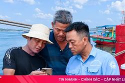 Giám sát 1.452 lượt tàu thuyền ra vào các cảng cá ở Hà Tĩnh bốc dỡ hải sản