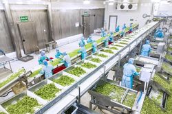 Công nghệ chế biến, đóng gói và bảo quản tạo đòn bẩy nâng tầm nông sản Việt