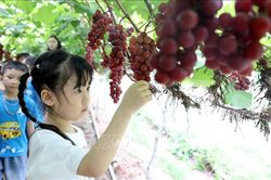 Đánh thức giá trị mới của nông nghiệp trước biến đổi khí hậu