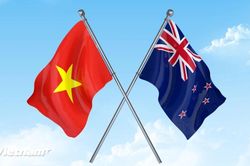 Chuẩn bị các hoạt động đối ngoại cấp cao song phương giữa Việt Nam – New Zealand