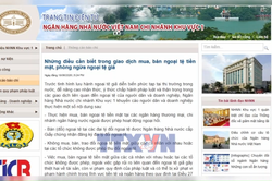 Ngân hàng Nhà nước cảnh báo rủi ro ngoại tệ giả